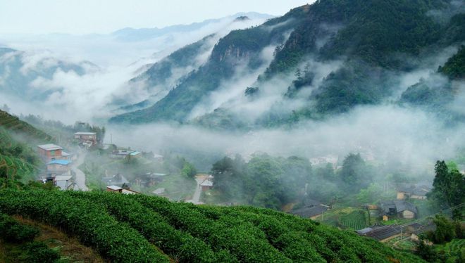 炉！泉州茶界再显“燎原”之势亚游ag电玩群雄逐鹿茶王出